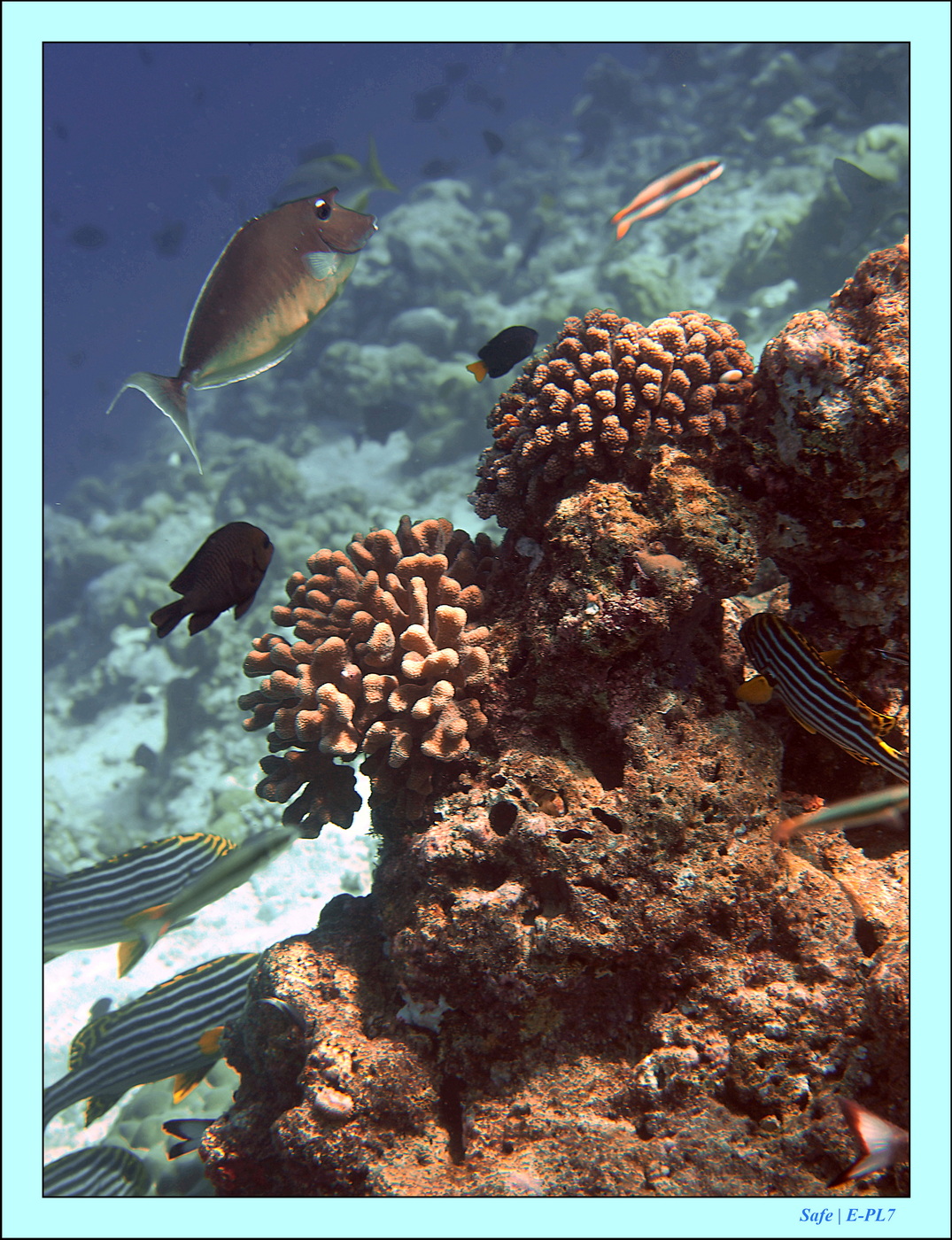 2023 - 07 - Sandies Bathala - 171